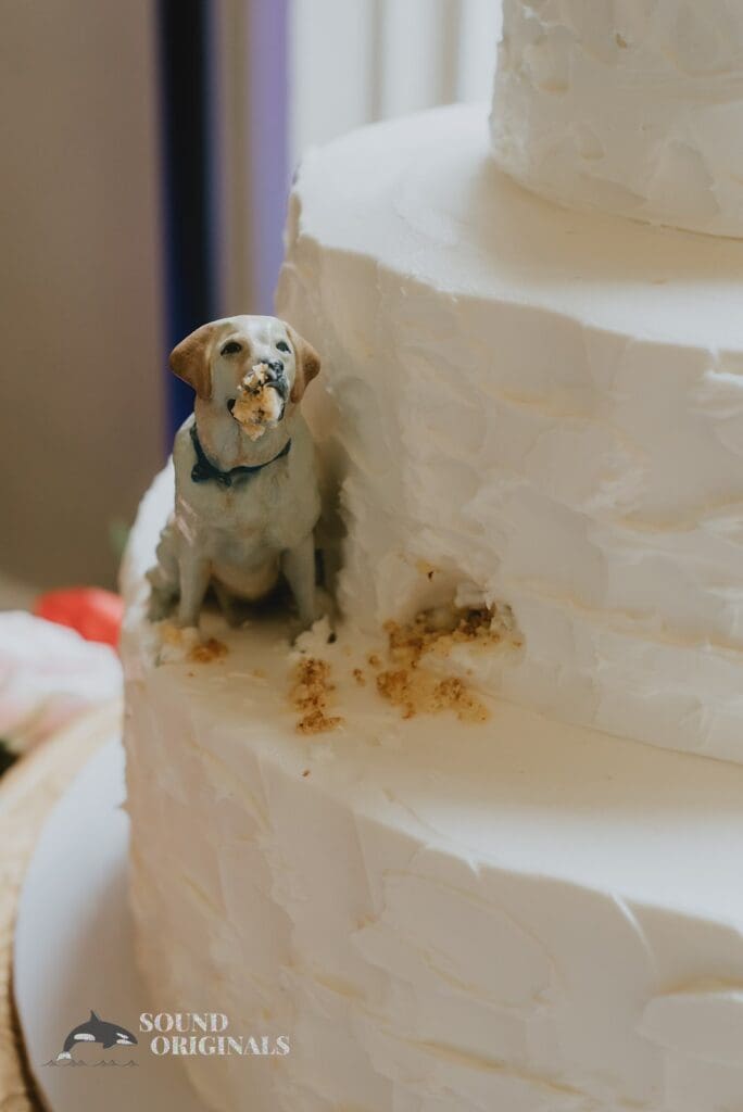 Dogs at Weddings -