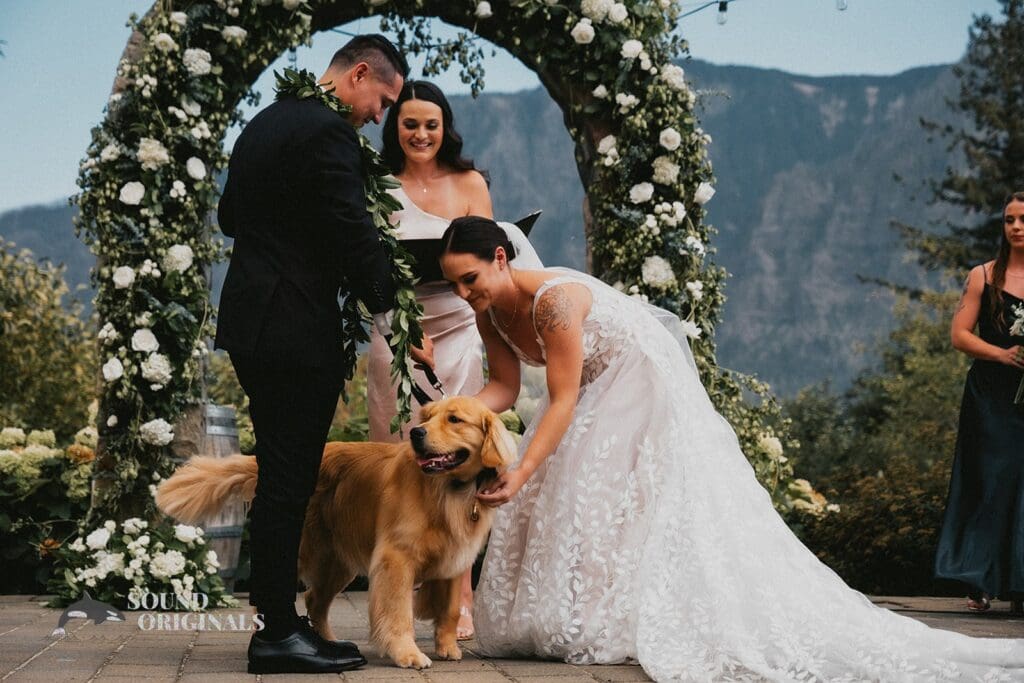 Dogs at Weddings -