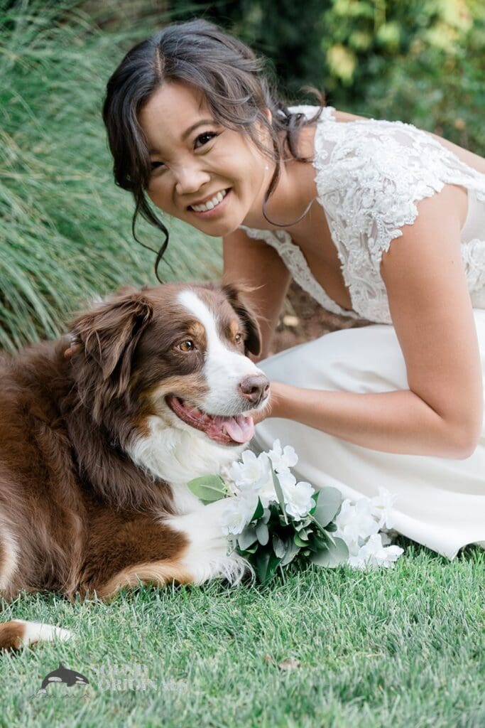 Dogs at Weddings -