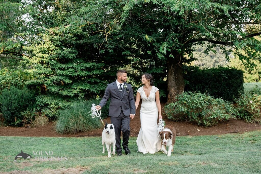 Dogs at Weddings -