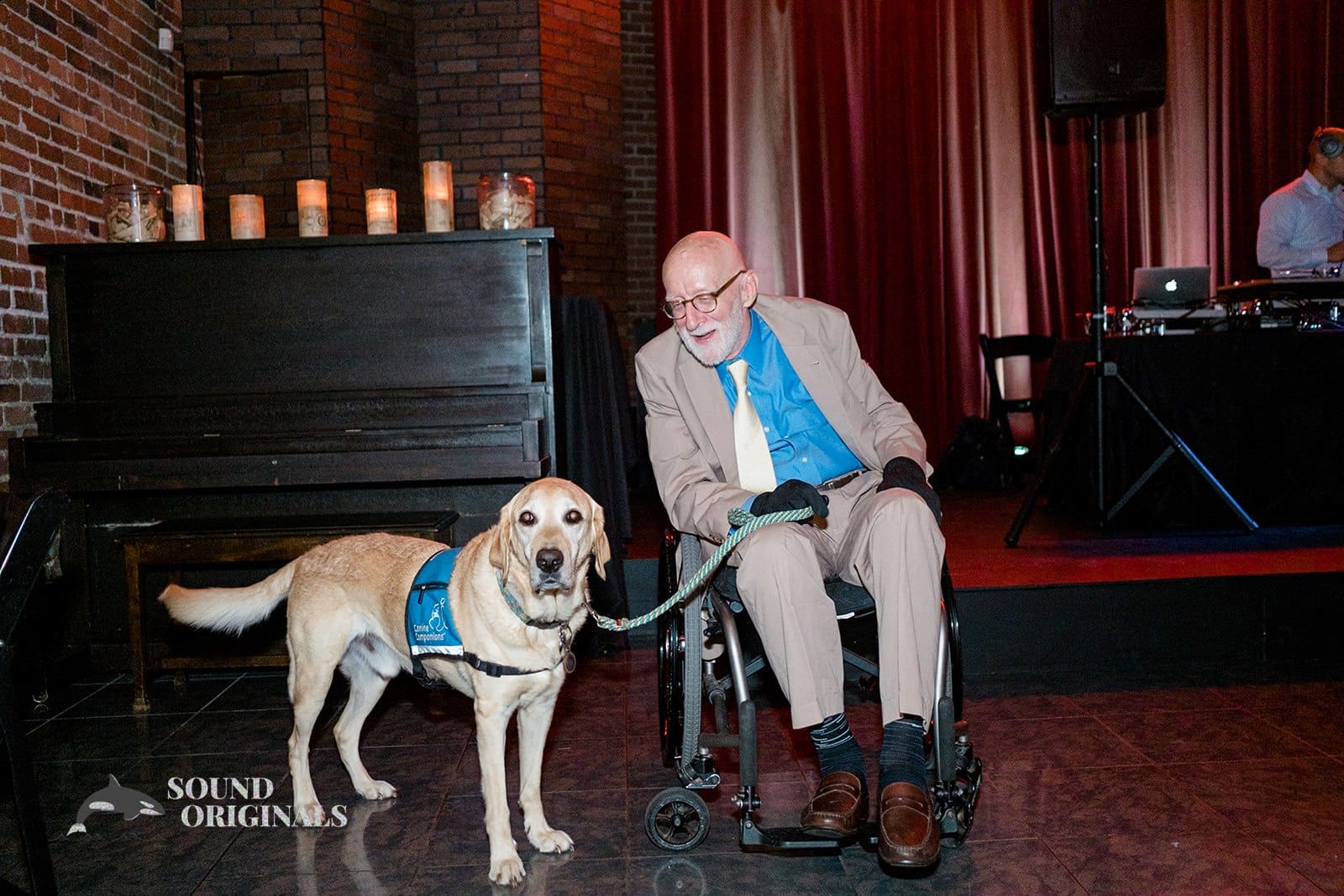 Dogs at Weddings -