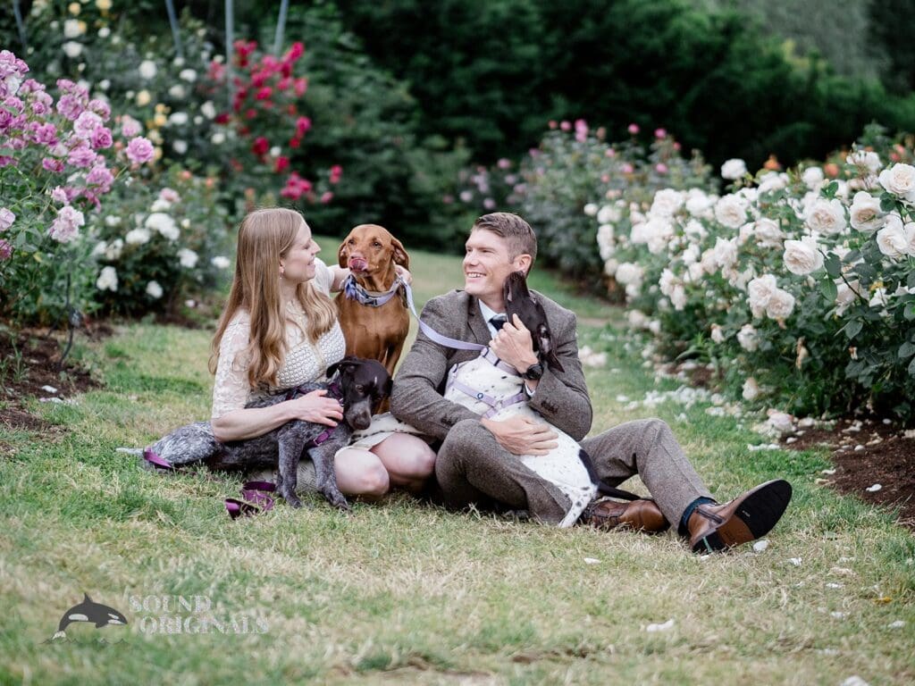 Elizabeth + Daniel Dogs at Engagements -