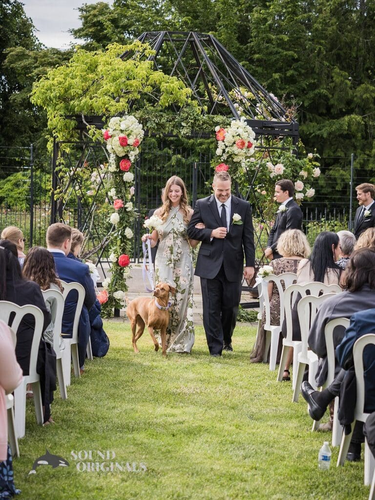 Dogs at Weddings -