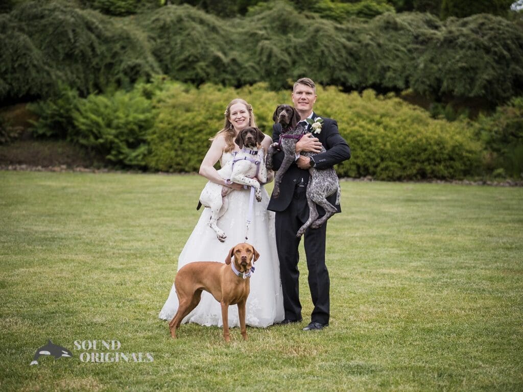 Dogs at Weddings -