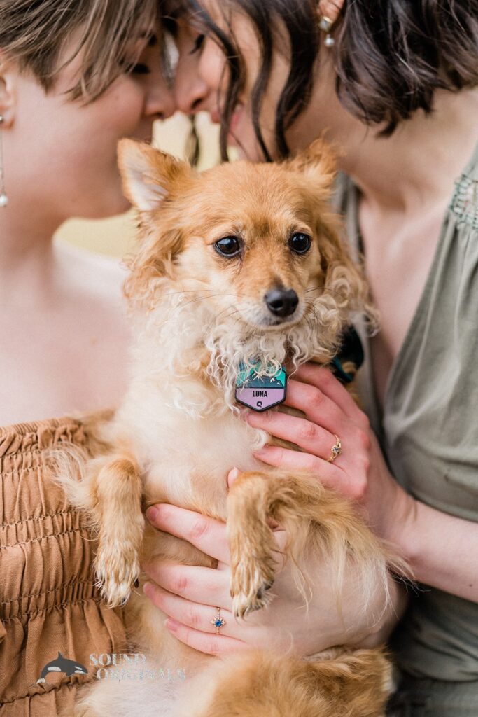 Liv + Emily Dogs at Engagements -