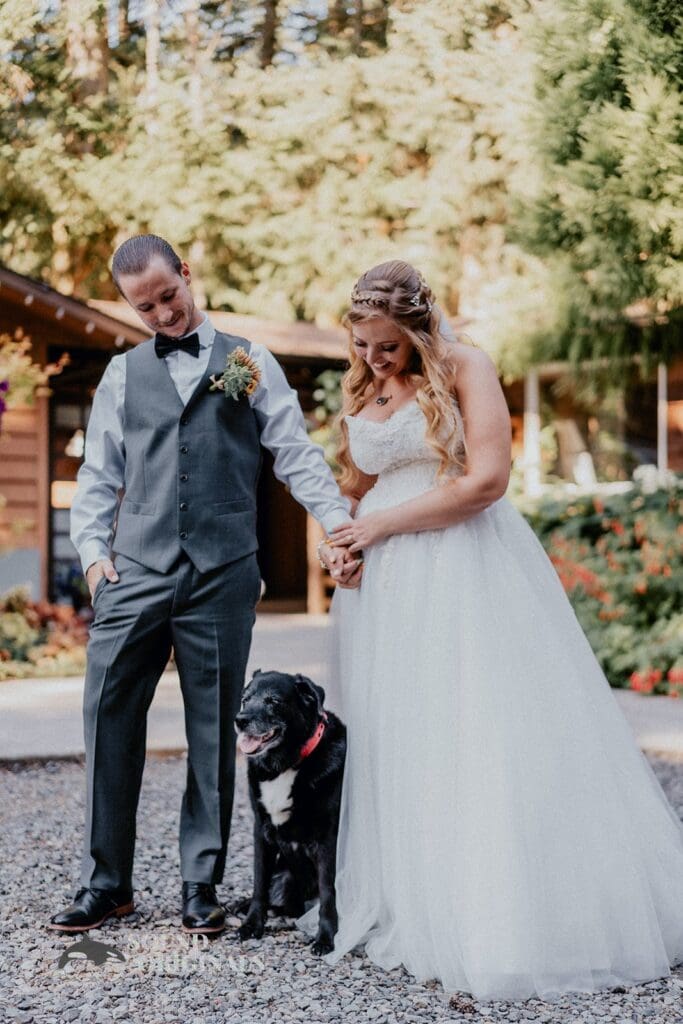 Dogs at Weddings -