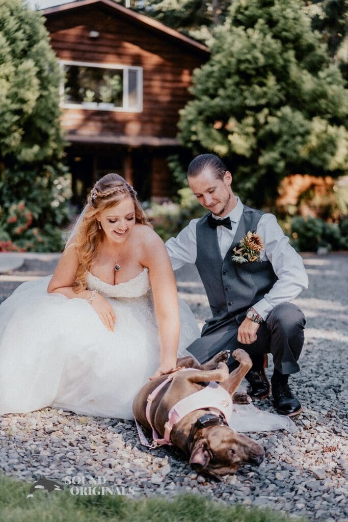 Dogs at Weddings -