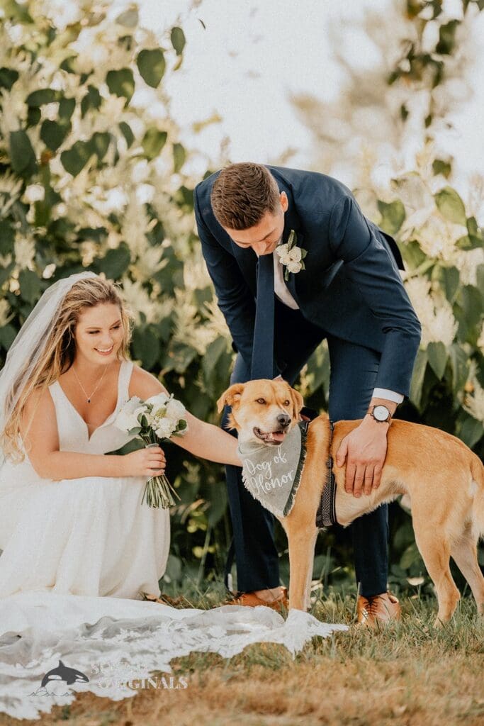 Dogs at Weddings -