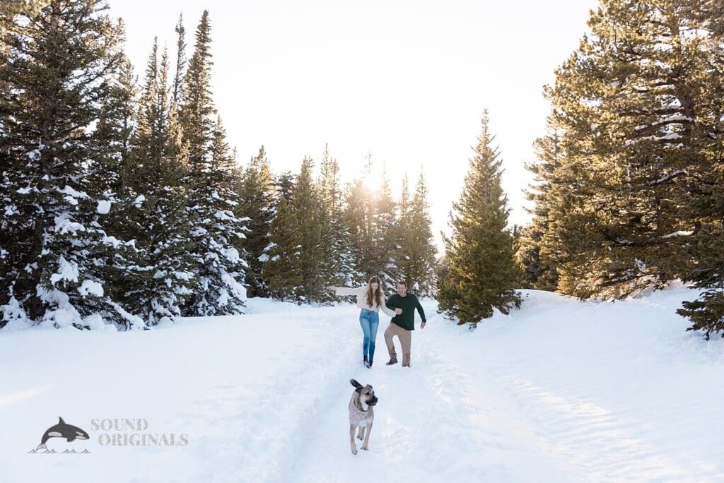 Lauryn + Benjamin Dogs at Engagements -