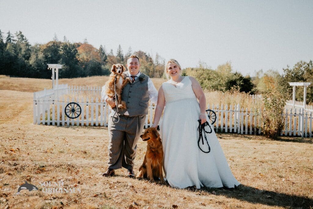 Dogs at Weddings -