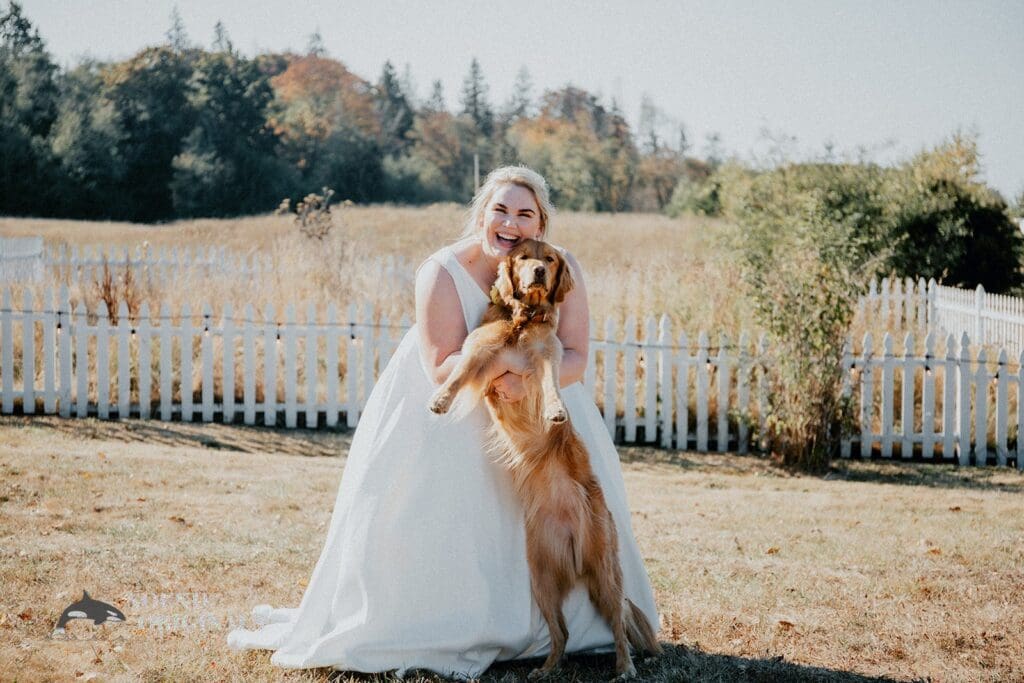 Dogs at Weddings -