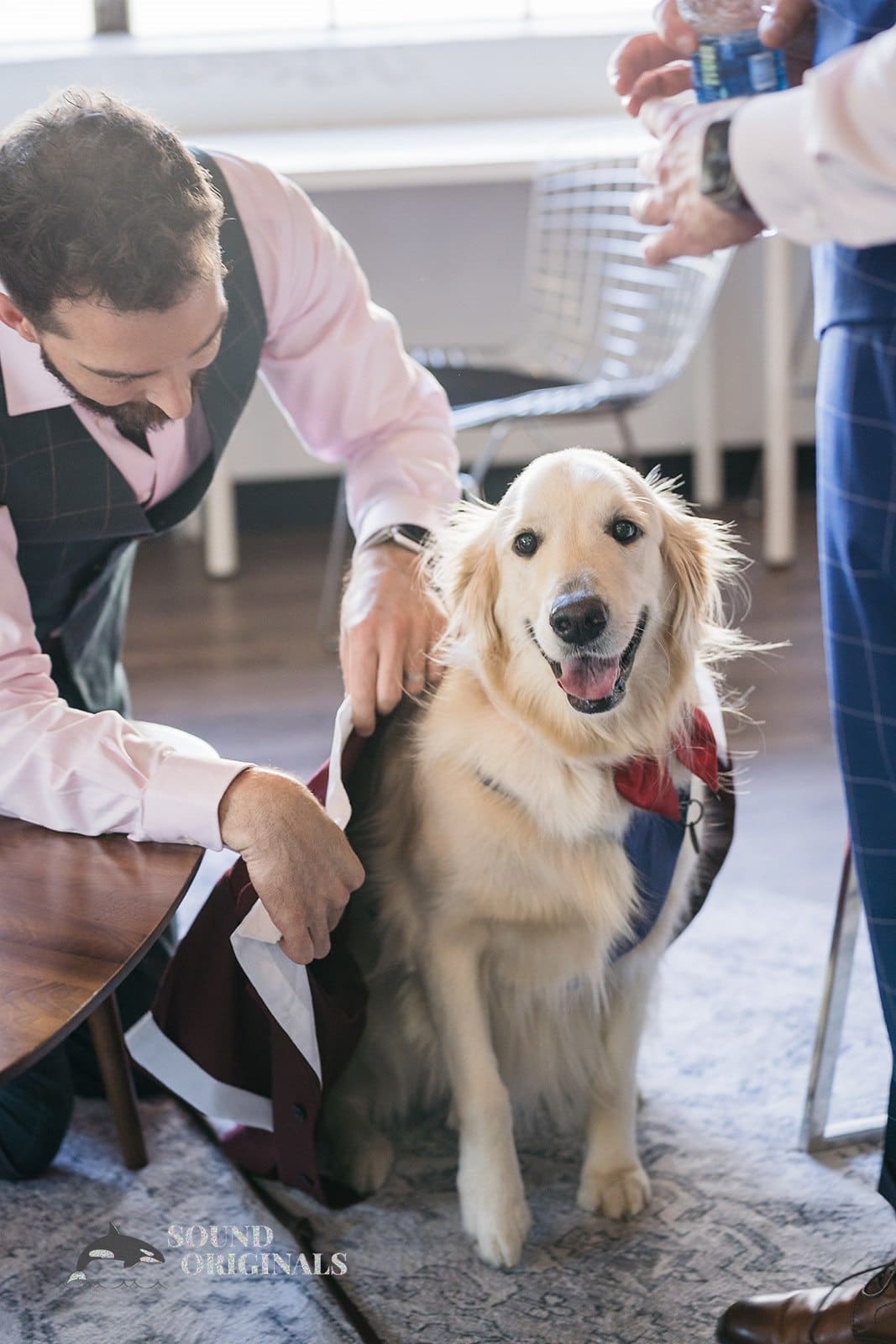 Dogs at Weddings -