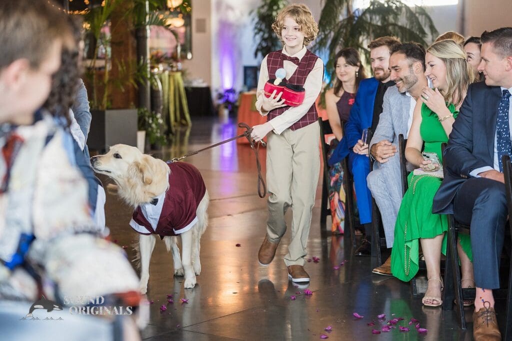 Dogs at Weddings -