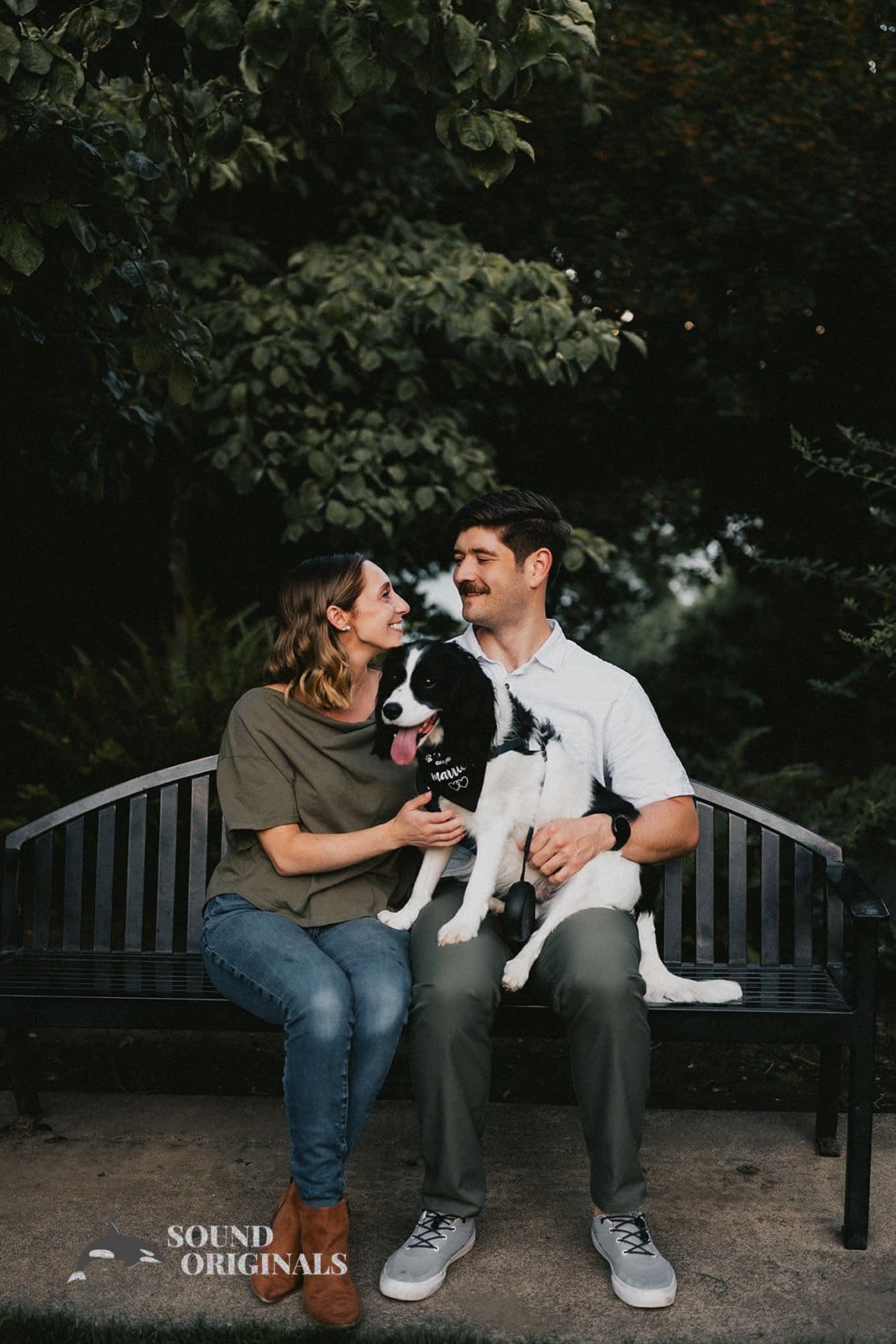 Dogs at Engagements -