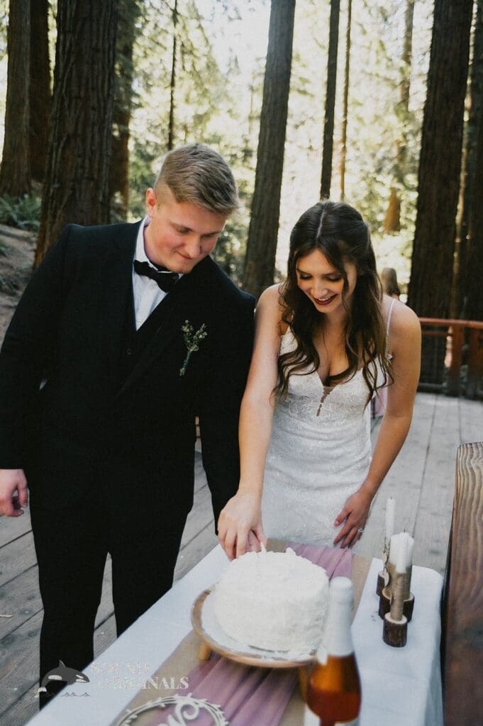 Emily + Alexander Redwood Observation Deck Wedding // Emily + Alexander -