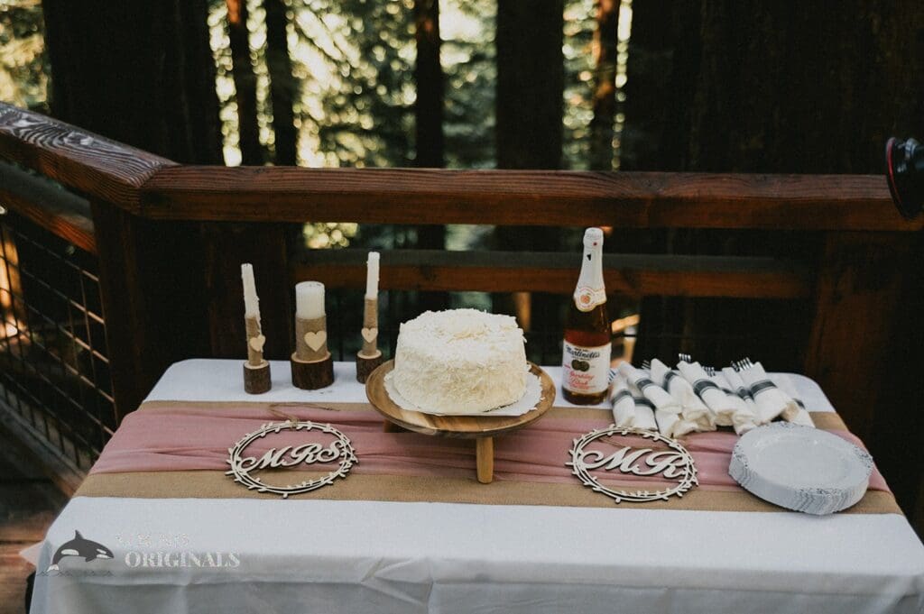 Emily + Alexander Redwood Observation Deck Wedding // Emily + Alexander -