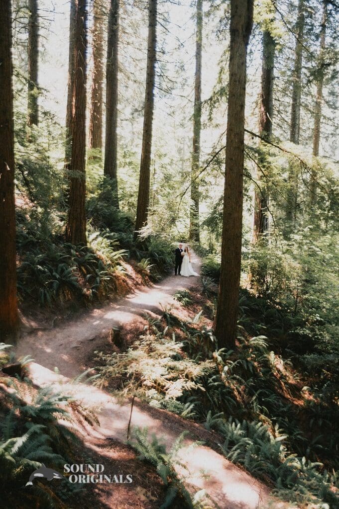 Emily + Alexander Redwood Observation Deck Wedding // Emily + Alexander -