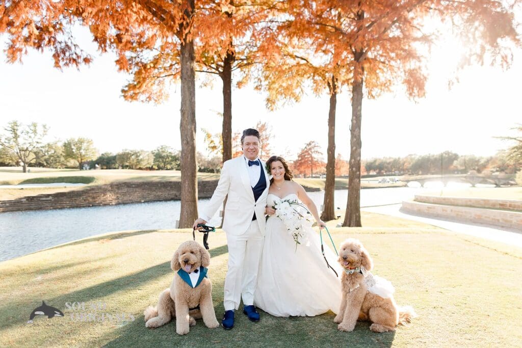 Dogs at Weddings -