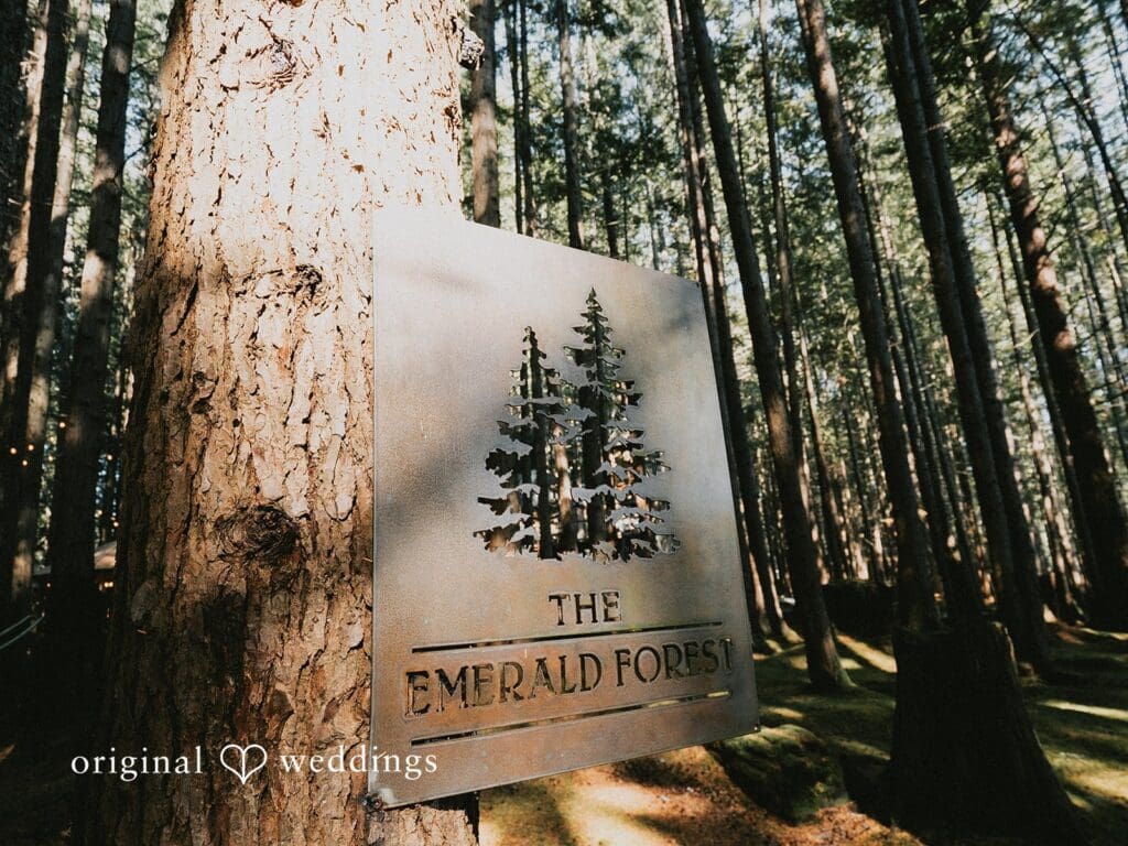 Bea + Ryan Redmond Emerald Forest Wedding -