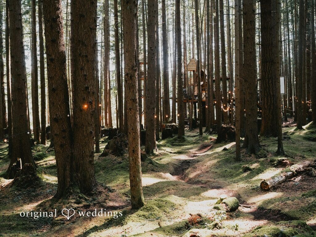 Bea + Ryan Redmond Emerald Forest Wedding -