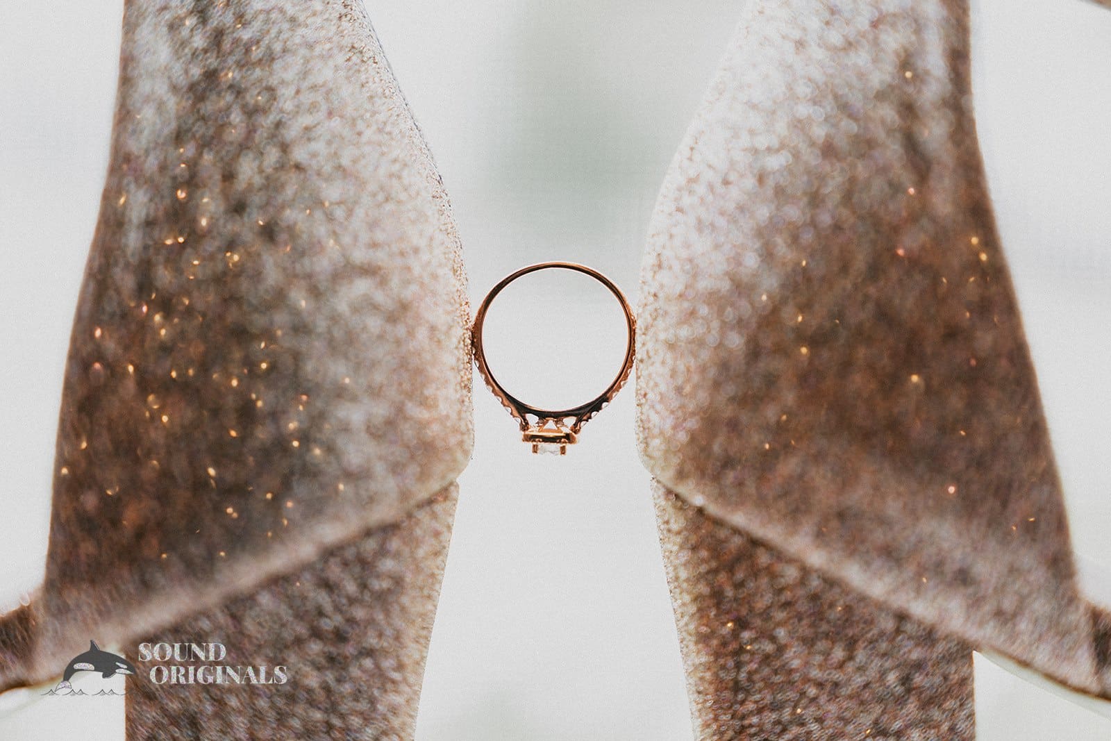 Dalina & Alex -