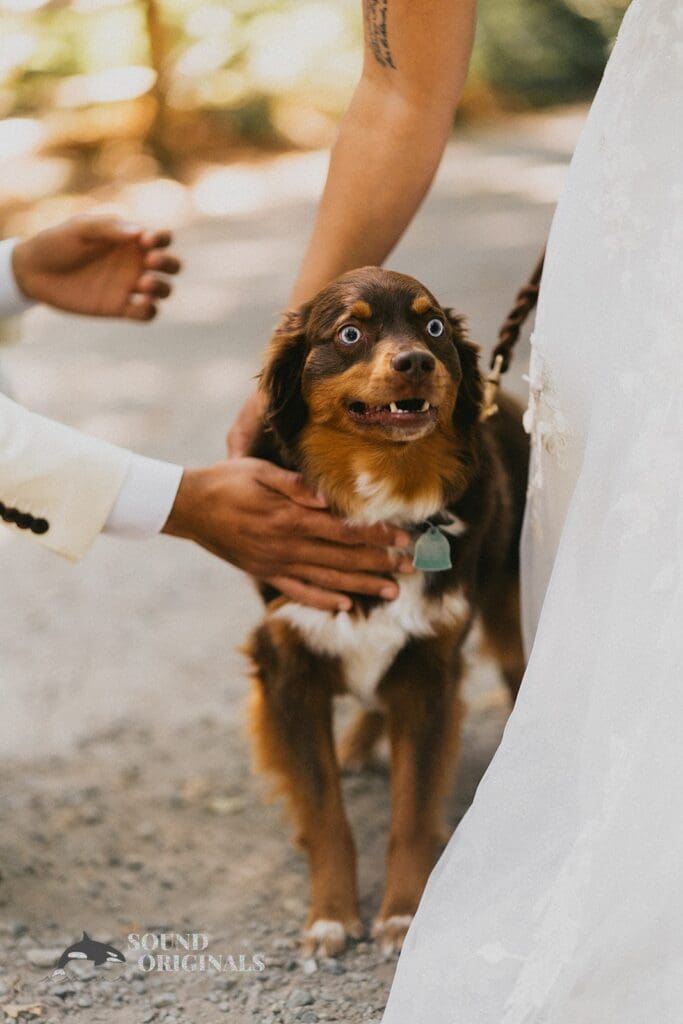 Cheyenne & Nicholas -