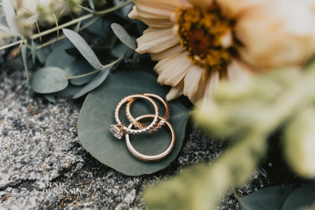 Cheyenne & Nicholas -