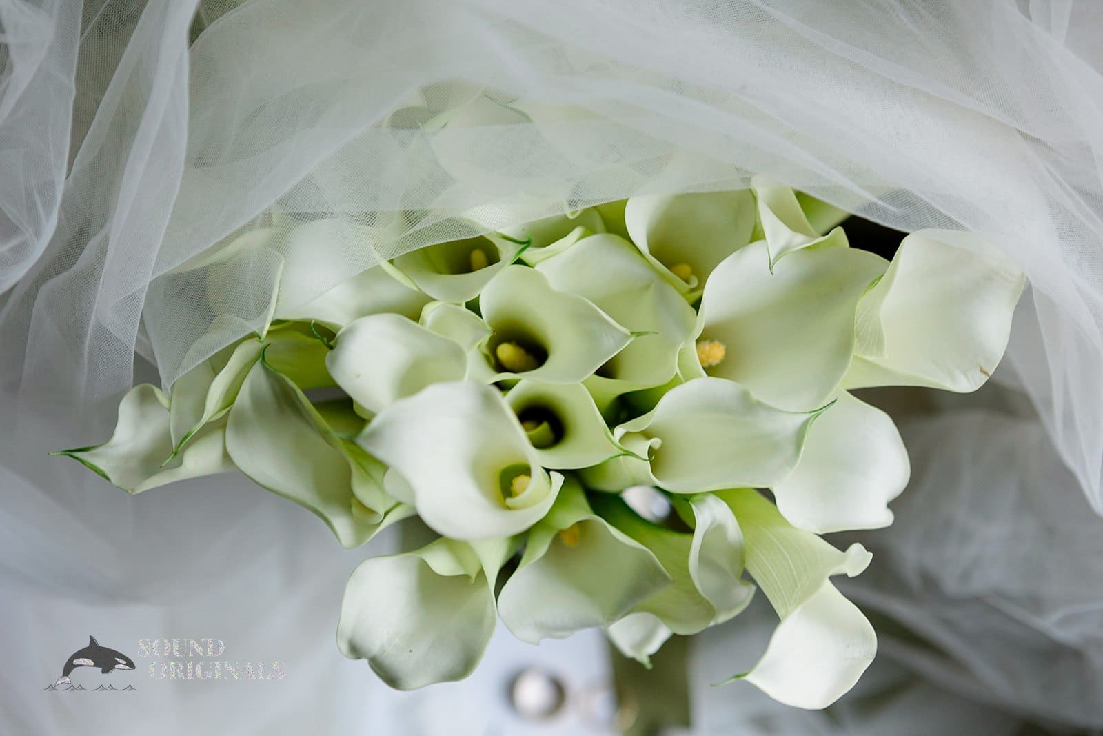 Victoria & Timothy -