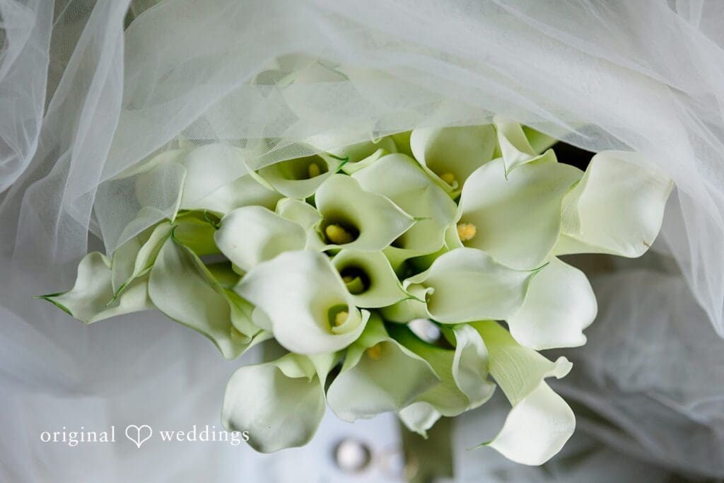 Victoria & Timothy -