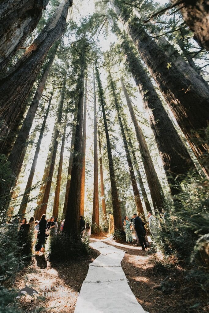 Kayli + Russell Roaring Camp Wedding // Kayli + Russell -