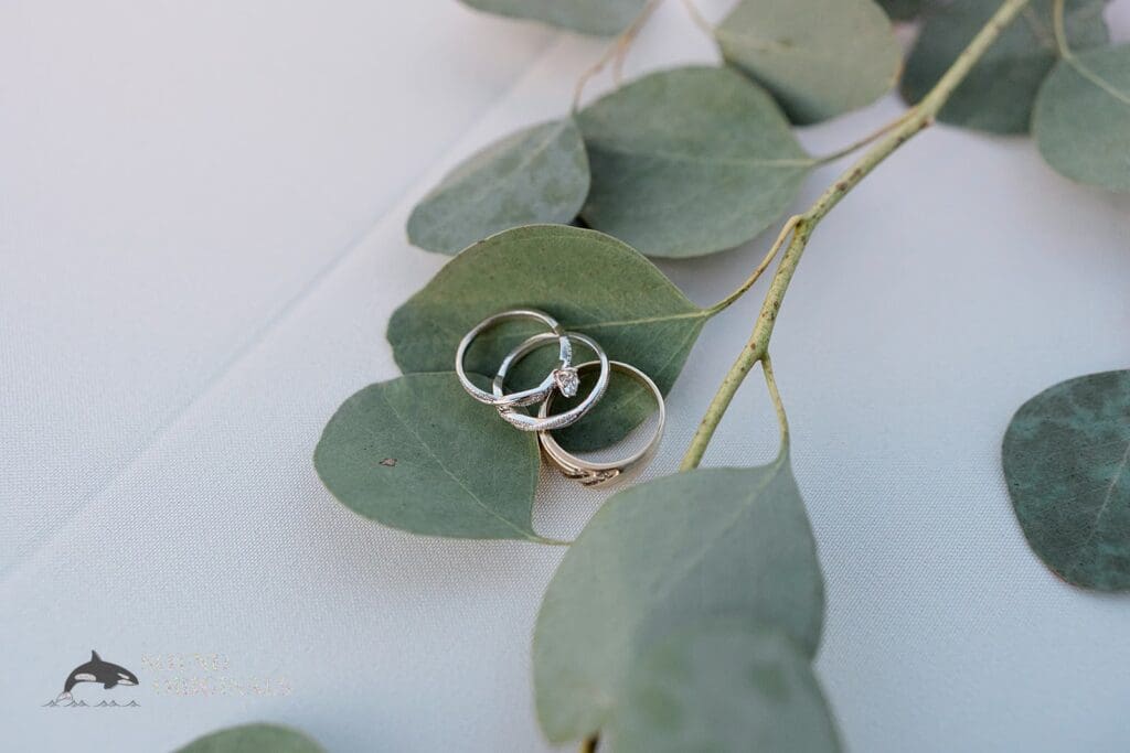 The Pavilion at Haggin Oaks Wedding // Erinn + Dominic -