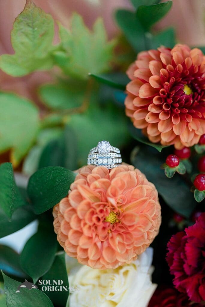 Horning's Hideout Wedding // Serena + Dominic -