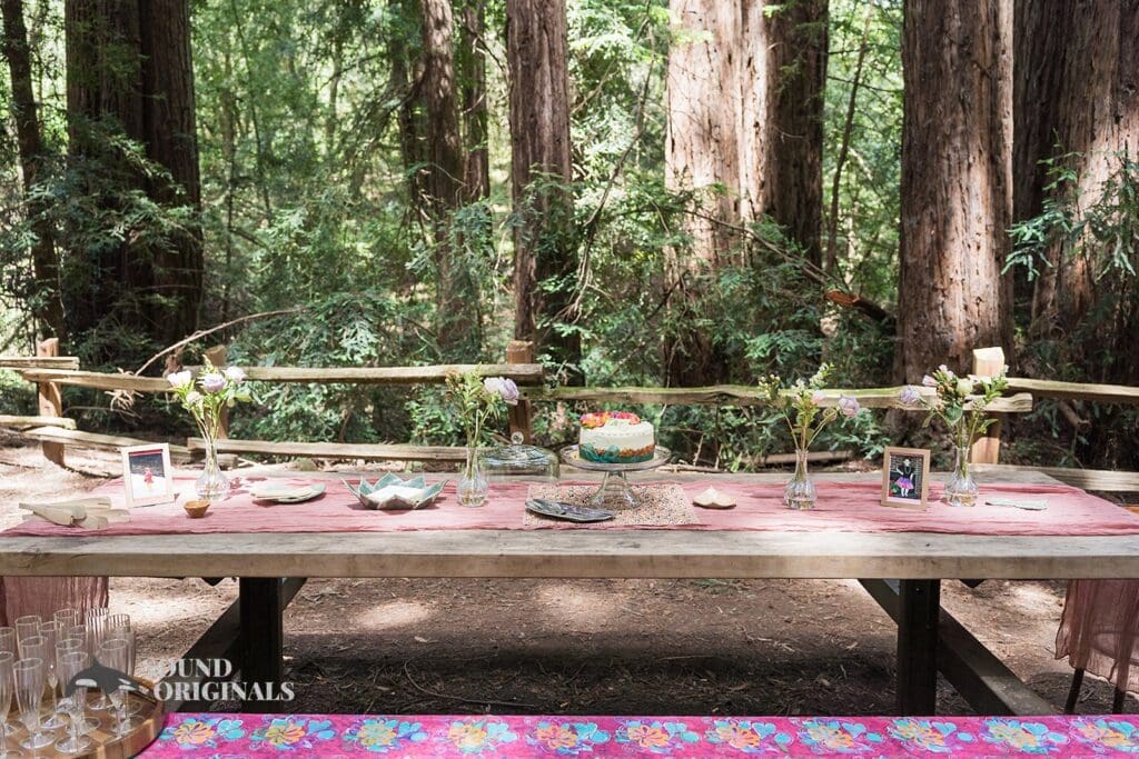 Reinhardt Redwood Regional Park Wedding // Tamrin + Tyler -