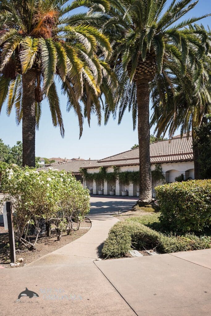 The Bridges Golf Club Wedding // Yousef + Jennah -