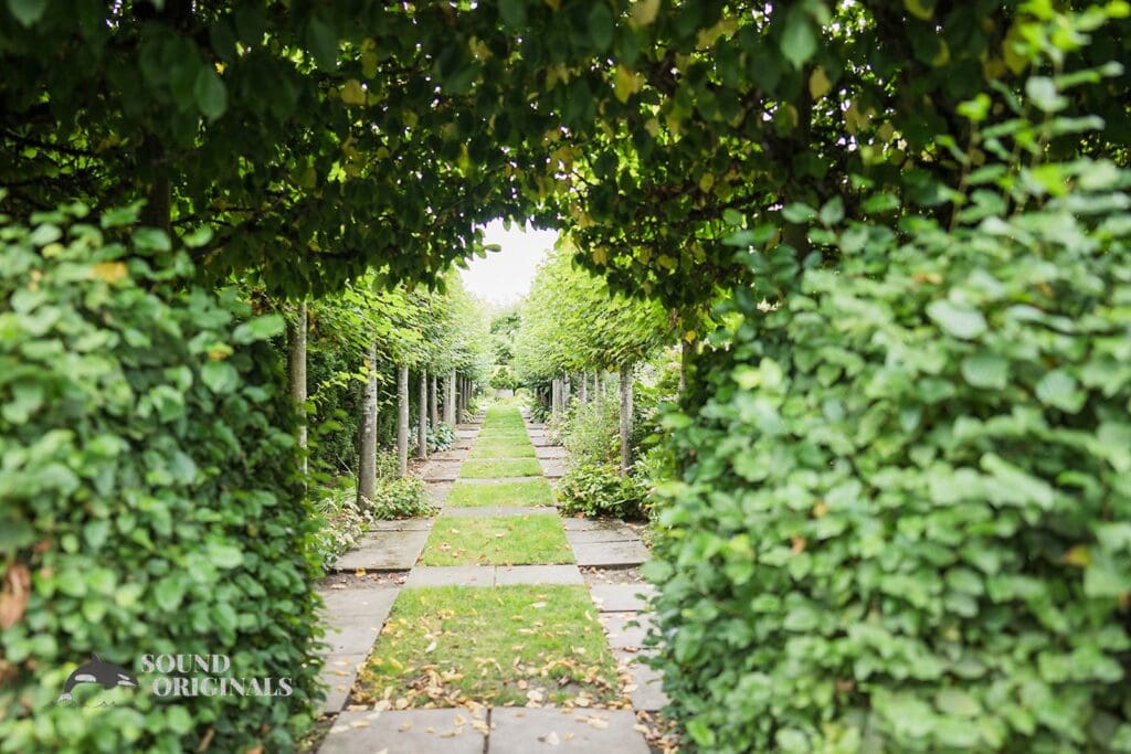 XX // Sean + Biatris -