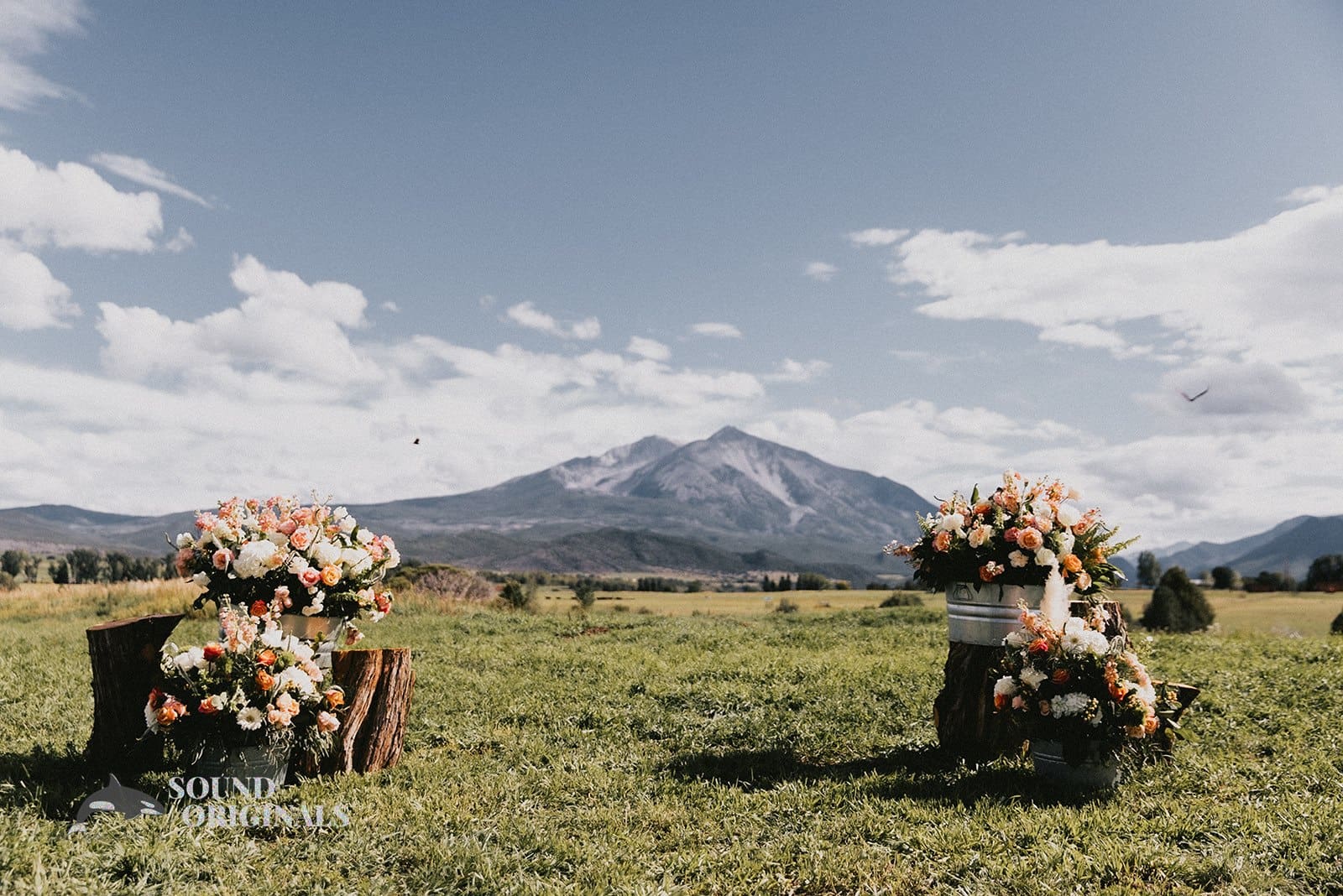 Madeleine & Cody -