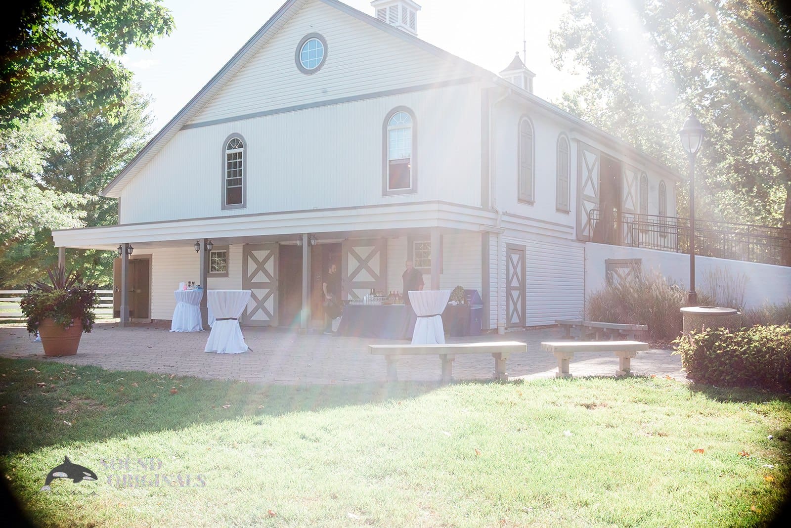 Allison & Marc -