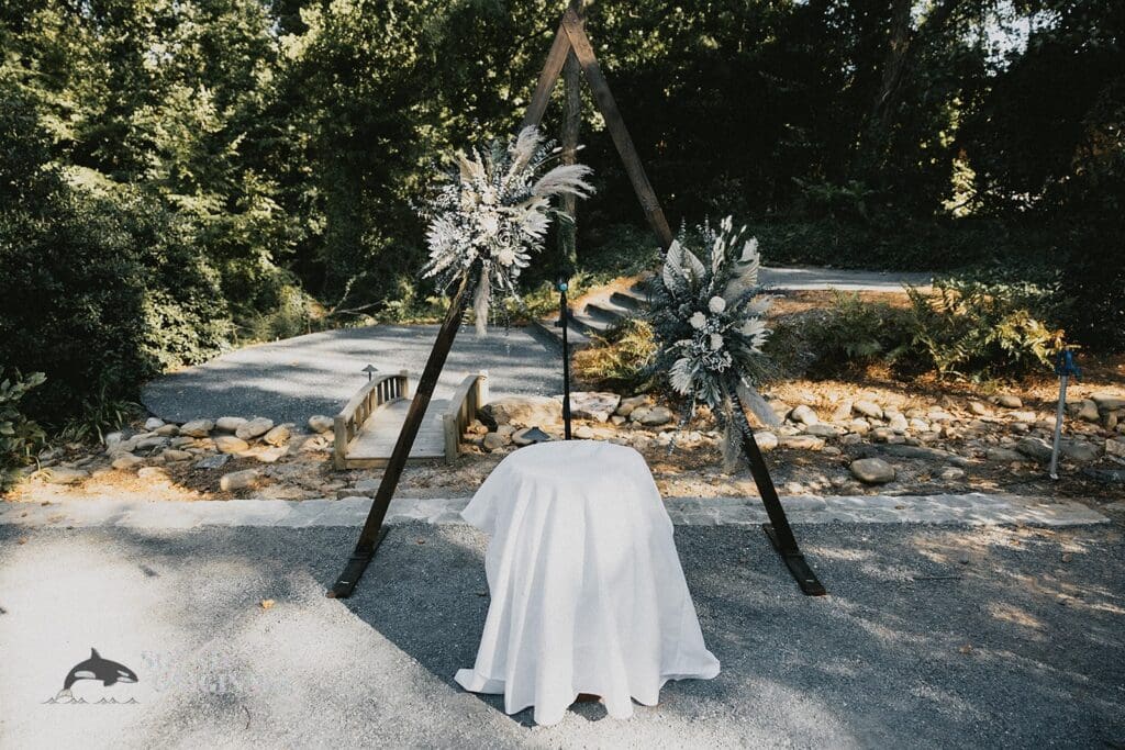 Anastasia & Matthew -