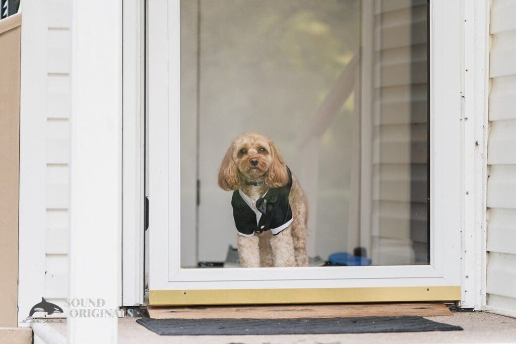 XX // Sean + Biatris -