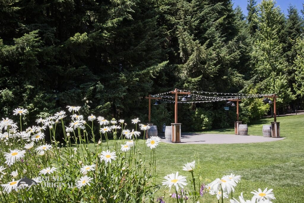 Gorge Crest Vineyards Wedding // Diany + Joel -