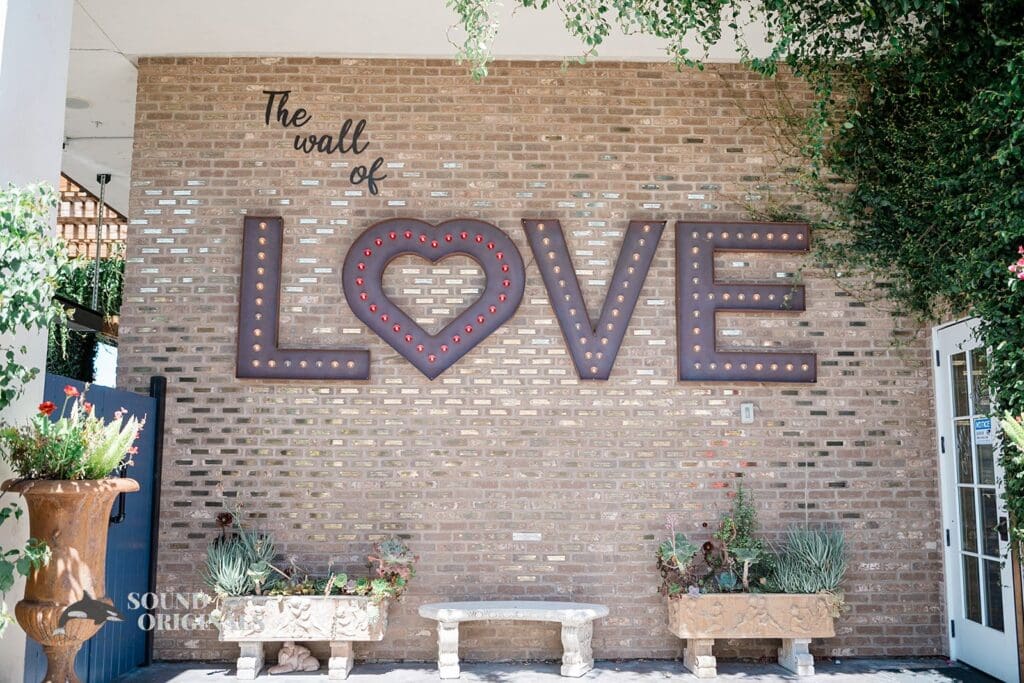 Sunol Casa Bella Wedding // David + Lyan -