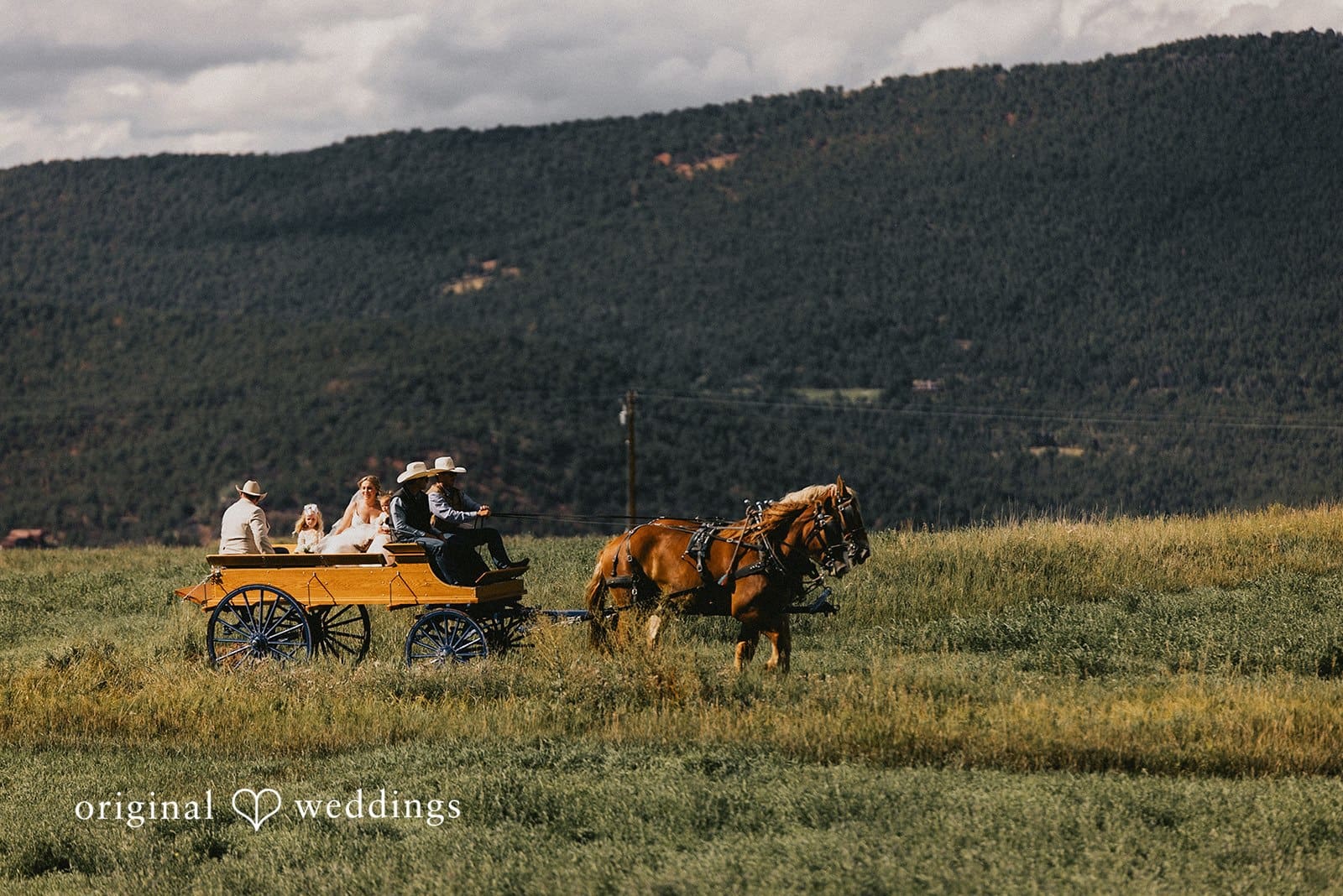 Madeleine & Cody -