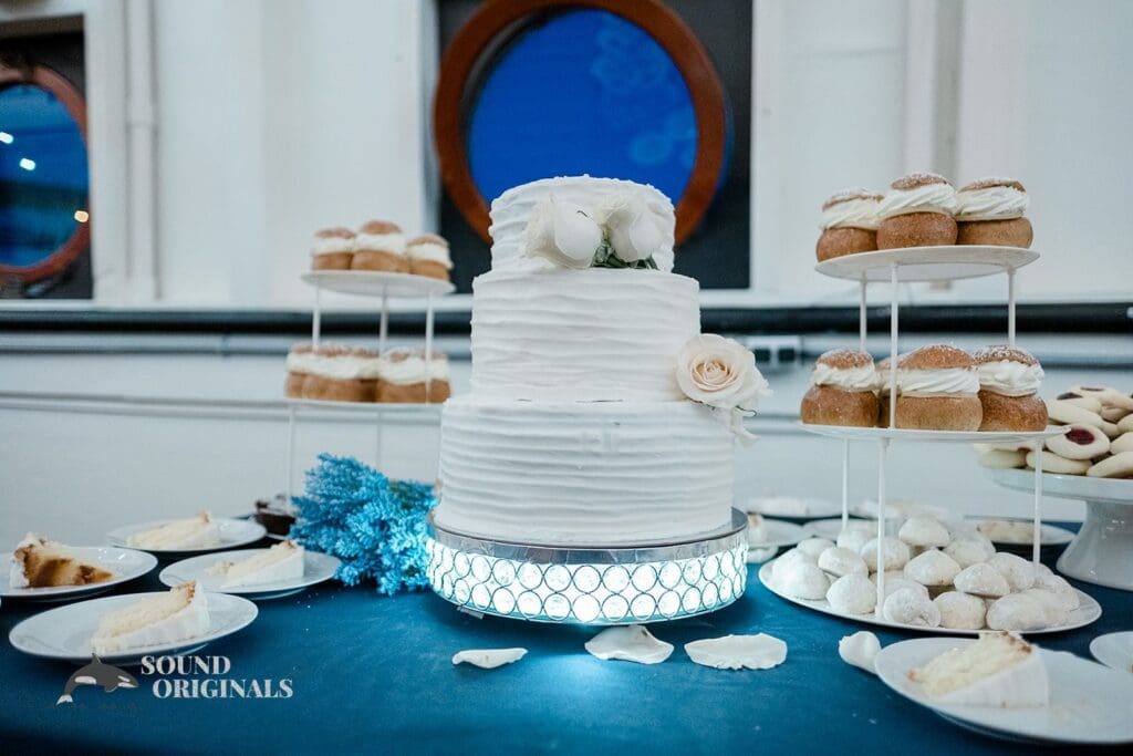 MV Skansonia Wedding // Alex + Hannah -