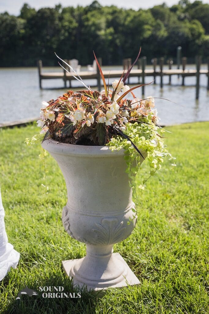 Beautiful pot of flowers shines radiantly at the Private Home Wedding