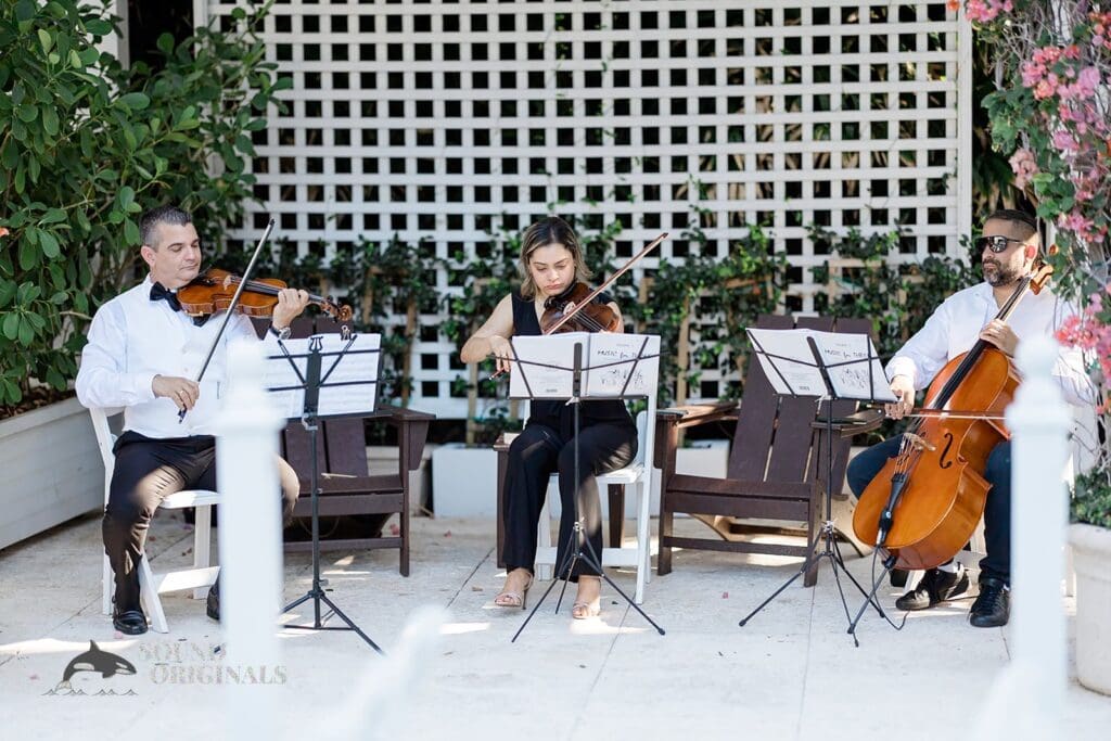 Instrumental band at The Palms Hotel & Spa Wedding