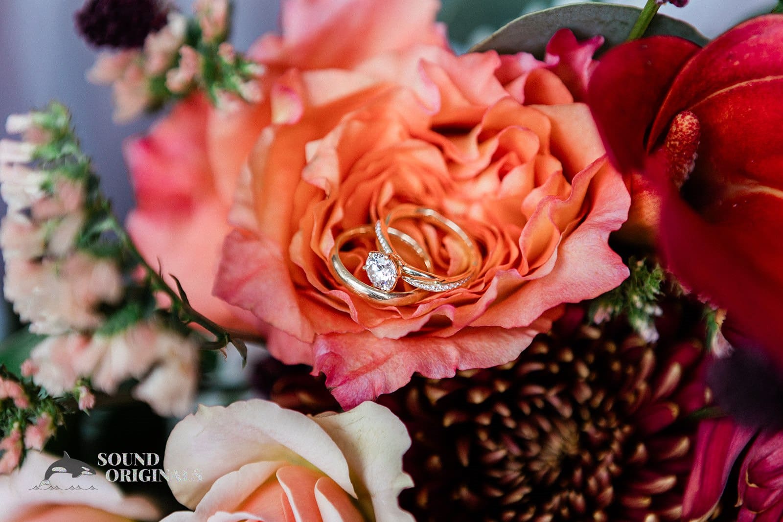 Tracie & Jeff -