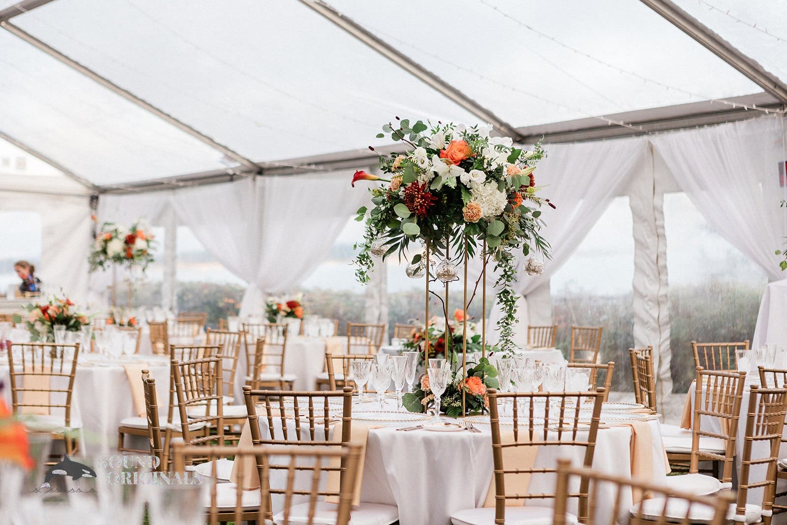 Tracie & Jeff -