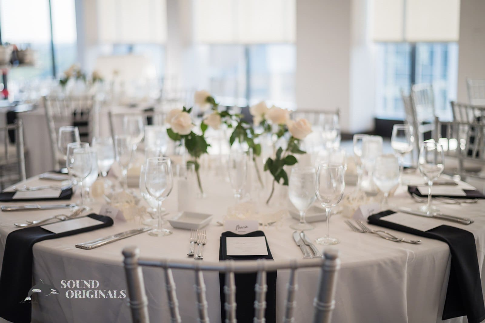 Hyatt Regency Bethesda // David + Irena -