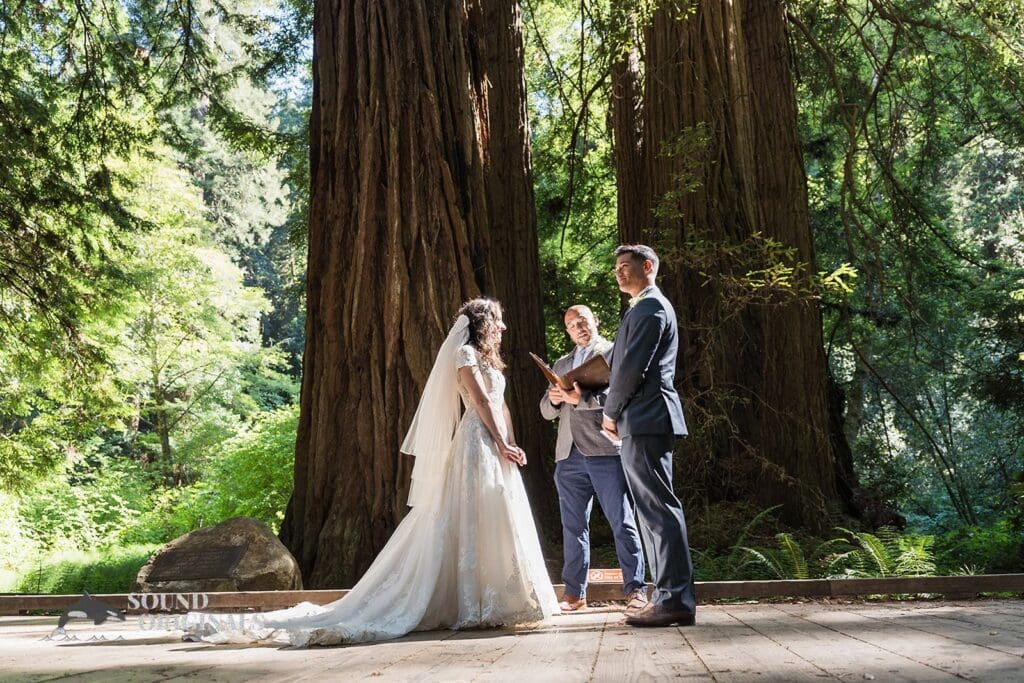 Tara + Adam Muir Woods Wedding // Tara + Adam -