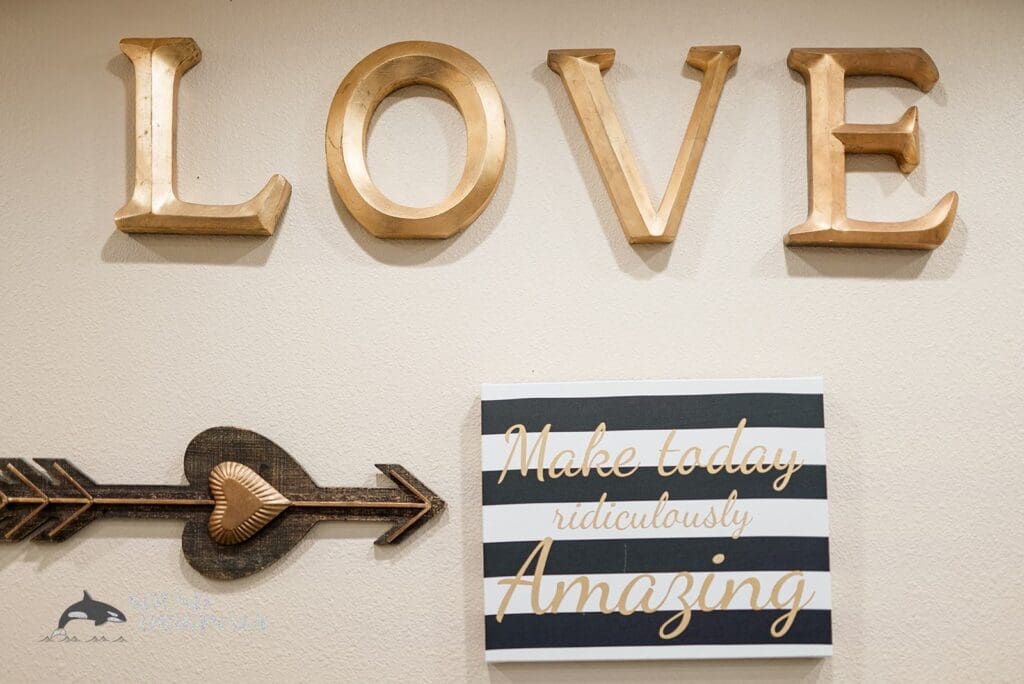 Brentwood Rise Wedding // Shyane + William -